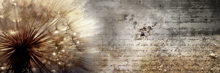 Tableau  Dandelion on Concrete