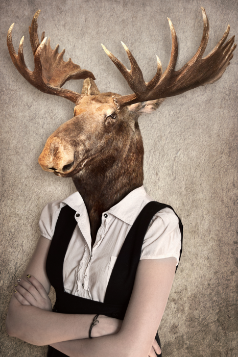 Tableau  Brainy Moose (1 Part) Vertical