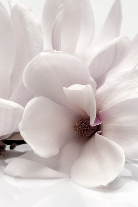 Tableau  Blooming Light (1 Part) Vertical