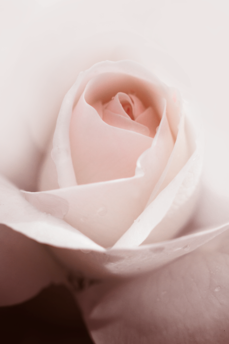 Tableau  Level of Feelings (1 Part) Vertical