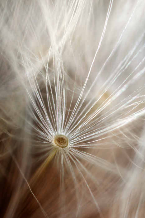 Tableau  Beginning of Memories (1 Part) Vertical