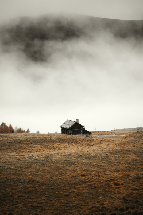 Tableau  Asylum in the Mountains (1 Part) Vertical