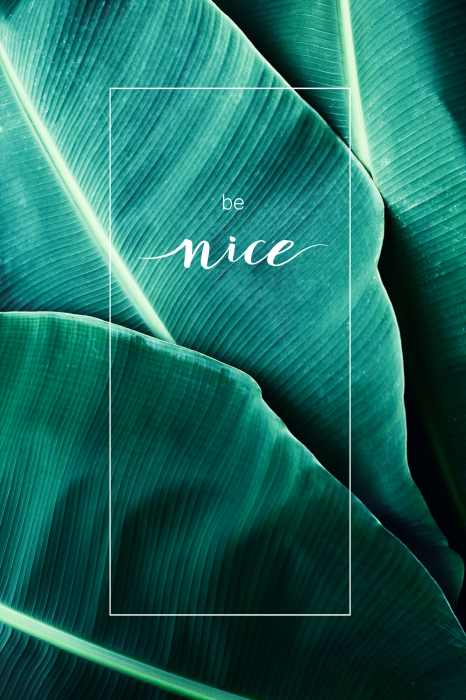Tableau  Be Nice (1 Part) Vertical