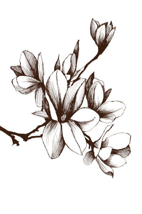 Tableau  Renaissance Magnolias (1 Part) Vertical