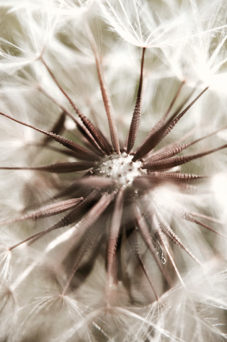 Tableau  Closeness to Nature (1 Part) Vertical