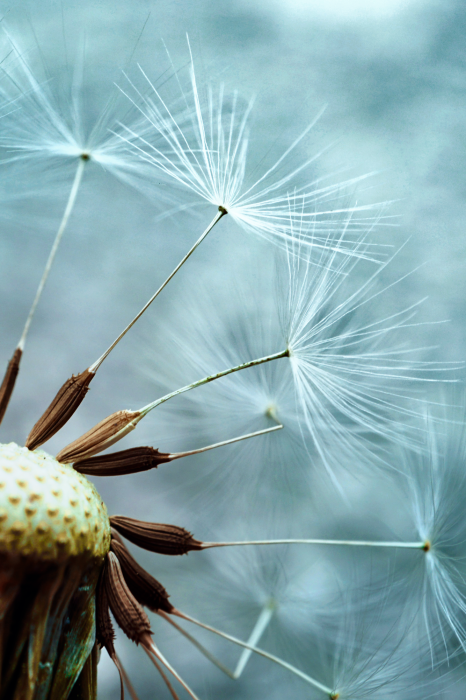 Tableau  Elevation of Space (1 Part) Vertical