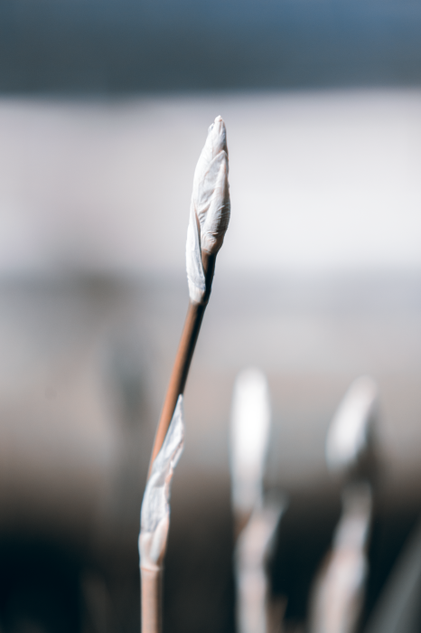 Tableau  Botanical Minimalism (1 Part) Vertical