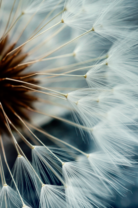 Tableau  More Memories (1 Part) Vertical