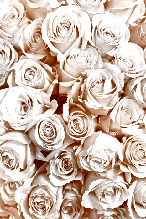 Tableau  Rose Garden (1 Part) Vertical