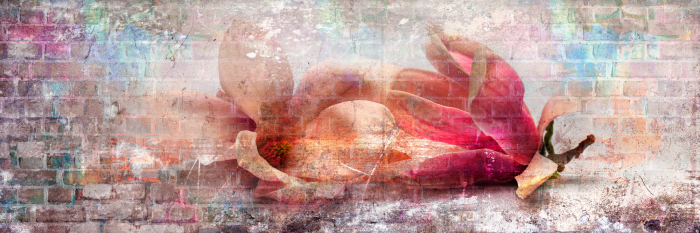 Tableau  Colourful Magnolias (1 Part) Narrow