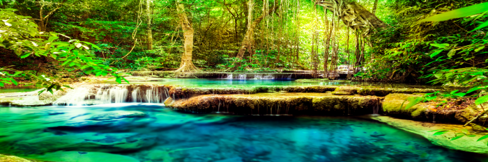 Tableau  A Jewel of Nature