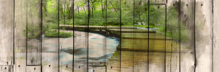 Tableau  The River of Memories