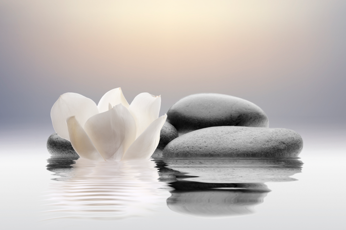 Tableau  Garden of Calm