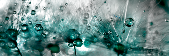 Tableau  Sprinkled Dandelions