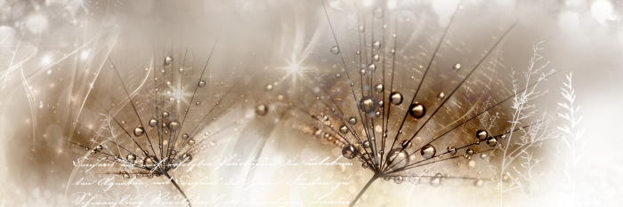 Tableau  Drops of Dew (1 Part) Brown Narrow