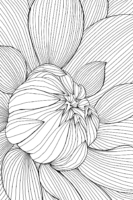 Tableau  Flower Line (1 Part) Vertical