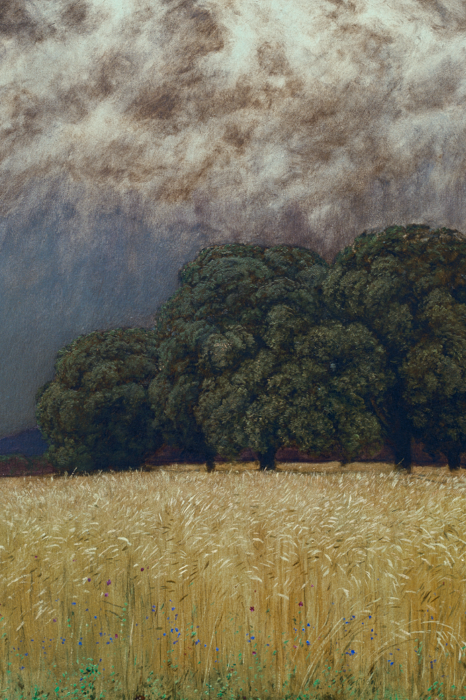 Tableau  Des champs de blé dorés sous un ciel sombre et orageux