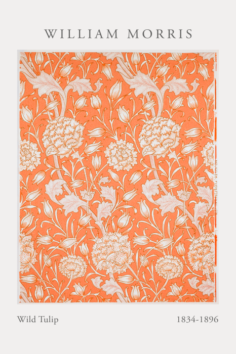 Tableau  Une subtile ligne de tulipes sur un fond orange