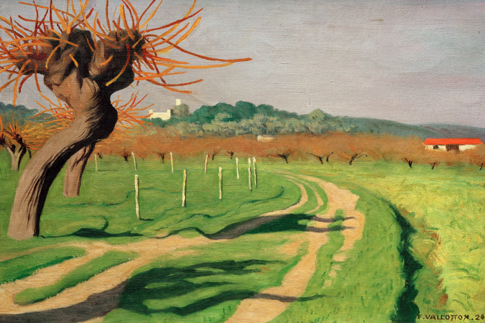 Tableau  Une vue magique de la vallée de Cagne sous la douce lumière du soleil