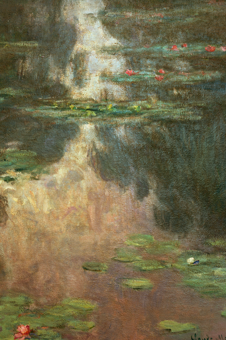 Tableau  Les rayons du soleil dansent à la surface de l&#39;eau recouverte de nénuphars.