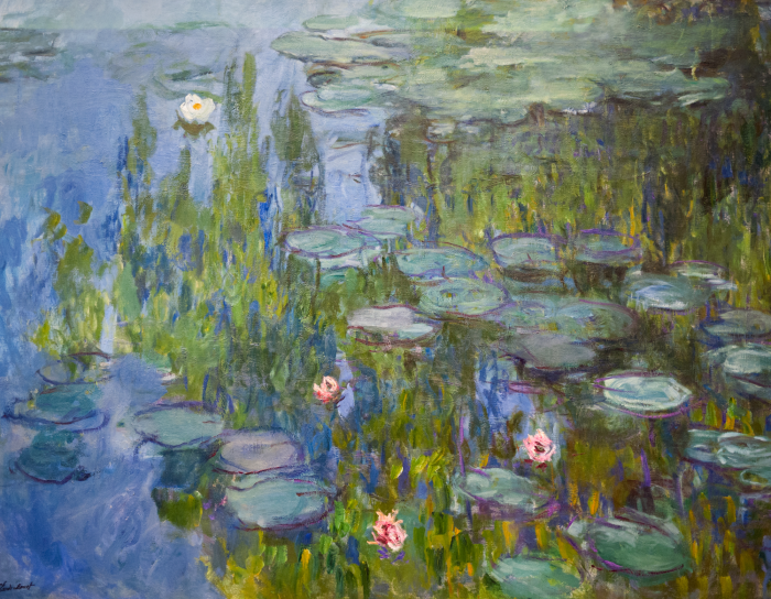 Tableau  Un magnifique étang recouvert d&#39;une végétation luxuriante de nénuphars.