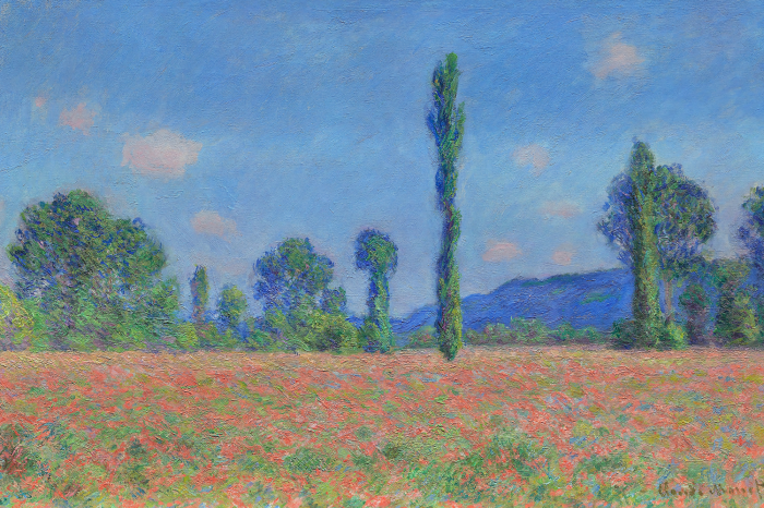 Tableau  Un champ pittoresque de coquelicots rouges entouré d&#39;un épais bosquet d&#39;arbres