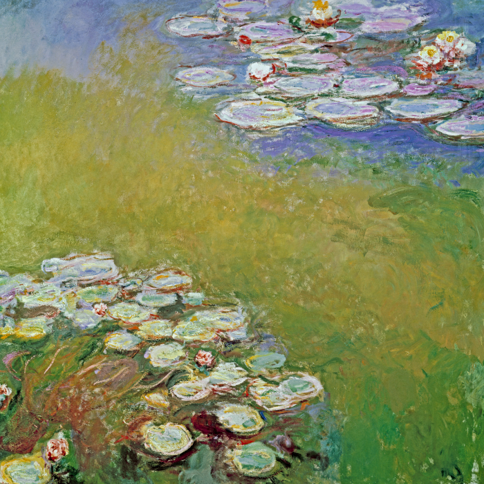 Tableau  Un étang pittoresque avec des nénuphars en fleurs