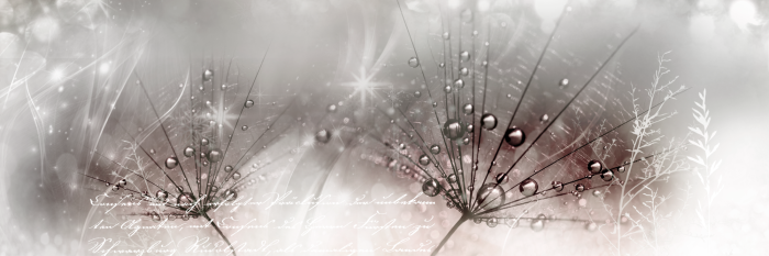 Tableau  Drops of Dew (1 Part) Pink Narrow