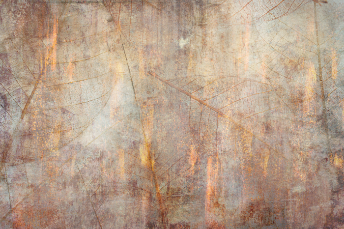 Tableau  Dance Of the Senses (1 Part) Wide