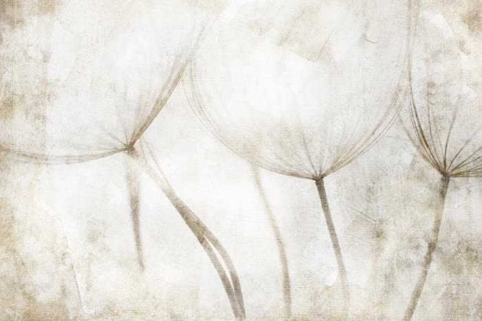 Tableau  Peaceful Tale (1 Part) Wide