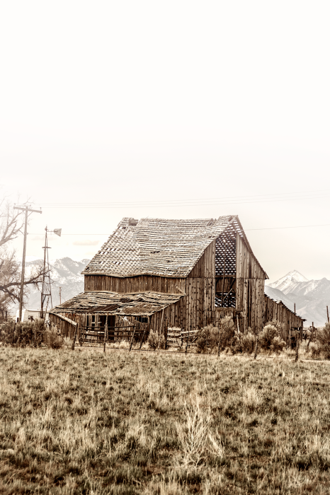 Tableau  Abandoned Ranch (1 Part) Vertical