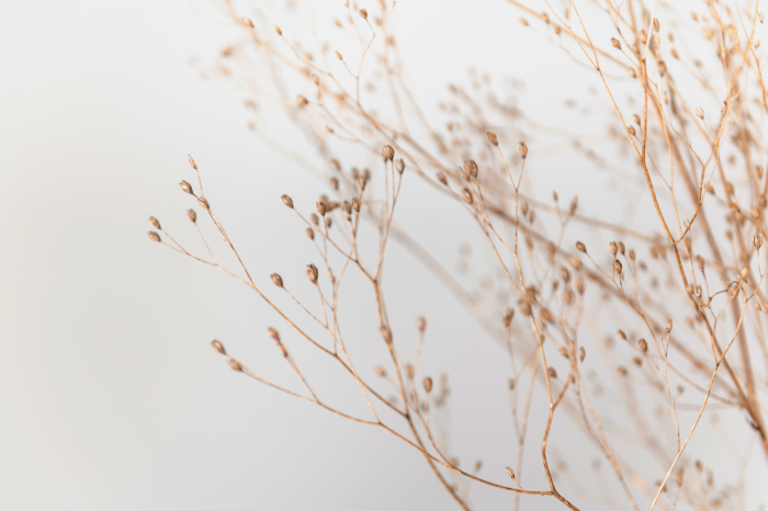 Tableau  Minimalist Twig (1 Part) Wide