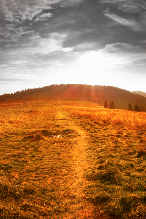 Tableau  Idyll (1 Part) Vertical