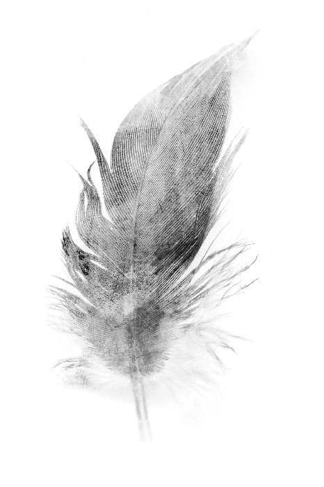 Tableau  Transience (1 Part) Vertical