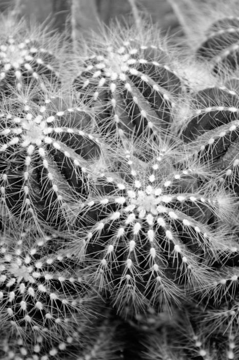 Tableau  Risky Adventure (1 Part) Vertical