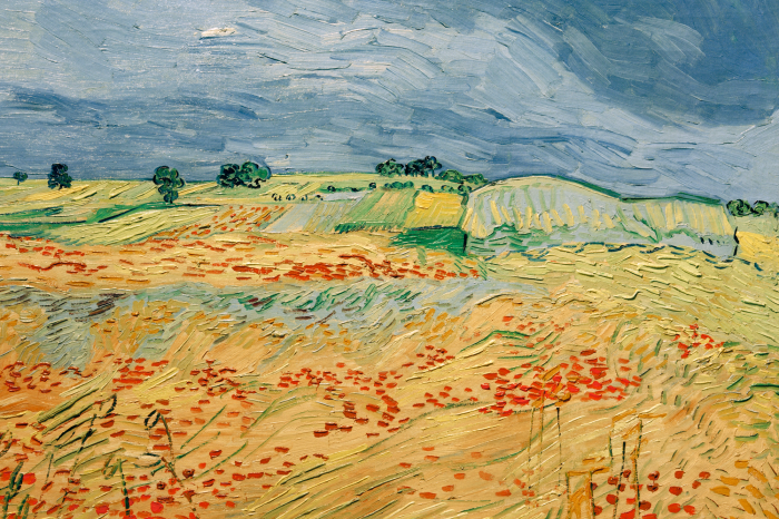 Tableau  Des champs pittoresques aux couleurs intenses