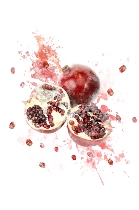 Tableau  Grenades peintes à l&#39;aquarelle