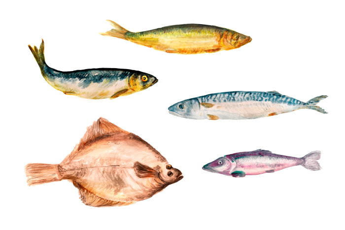 Tableau  Poissons de différentes couleurs