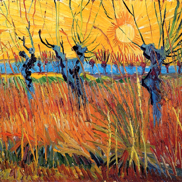 Tableau  Coucher de soleil parmi les saules et les prairies colorées