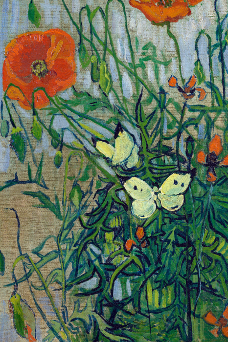 Tableau  Paysage d&#39;une prairie avec des coquelicots et des papillons flottants