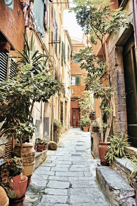 Tableau  Une rue bordée d&#39;immeubles et d&#39;une végétation luxuriante