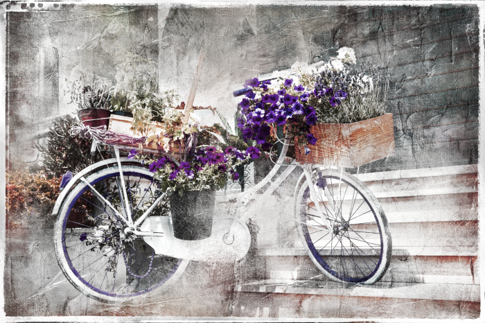 Poster  Un vélo classique orné d'un bouquet de fleurs violettes