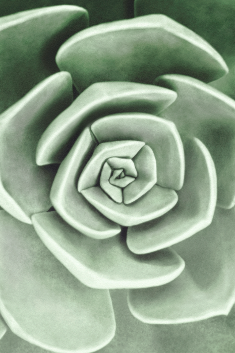 Poster  Fleur verte en gros plan en spirale