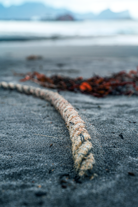 Poster  Gros plan sur une corde échouée sur la plage