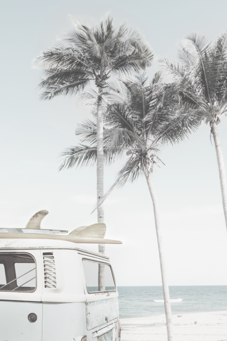 Poster  Paysage d'été avec une caravane et des palmiers