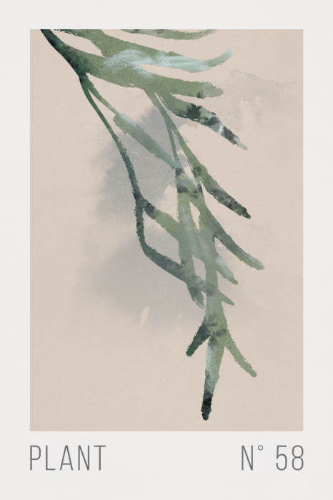 Poster  Illustration végétale minimaliste aux tons pastel