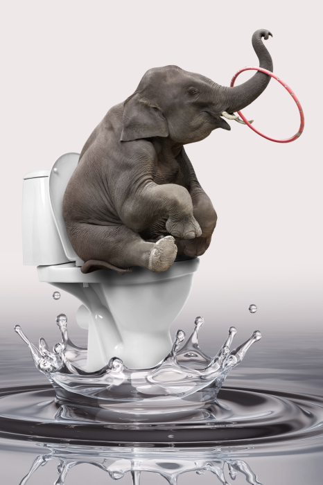 Poster  Une scène humoristique avec un bébé éléphant