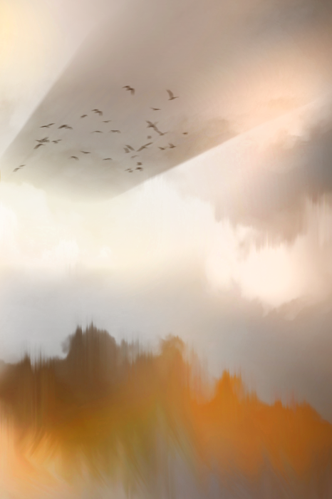 Poster  Impression de brouillard doré sur la forêt