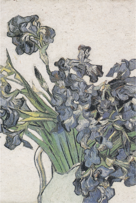 Poster  Une délicate peinture botanique avec des iris