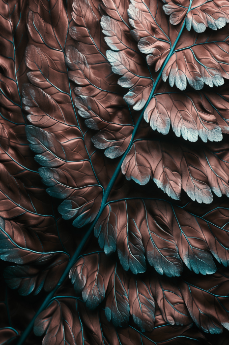Poster  Feuille de fougère cuivrée texturée